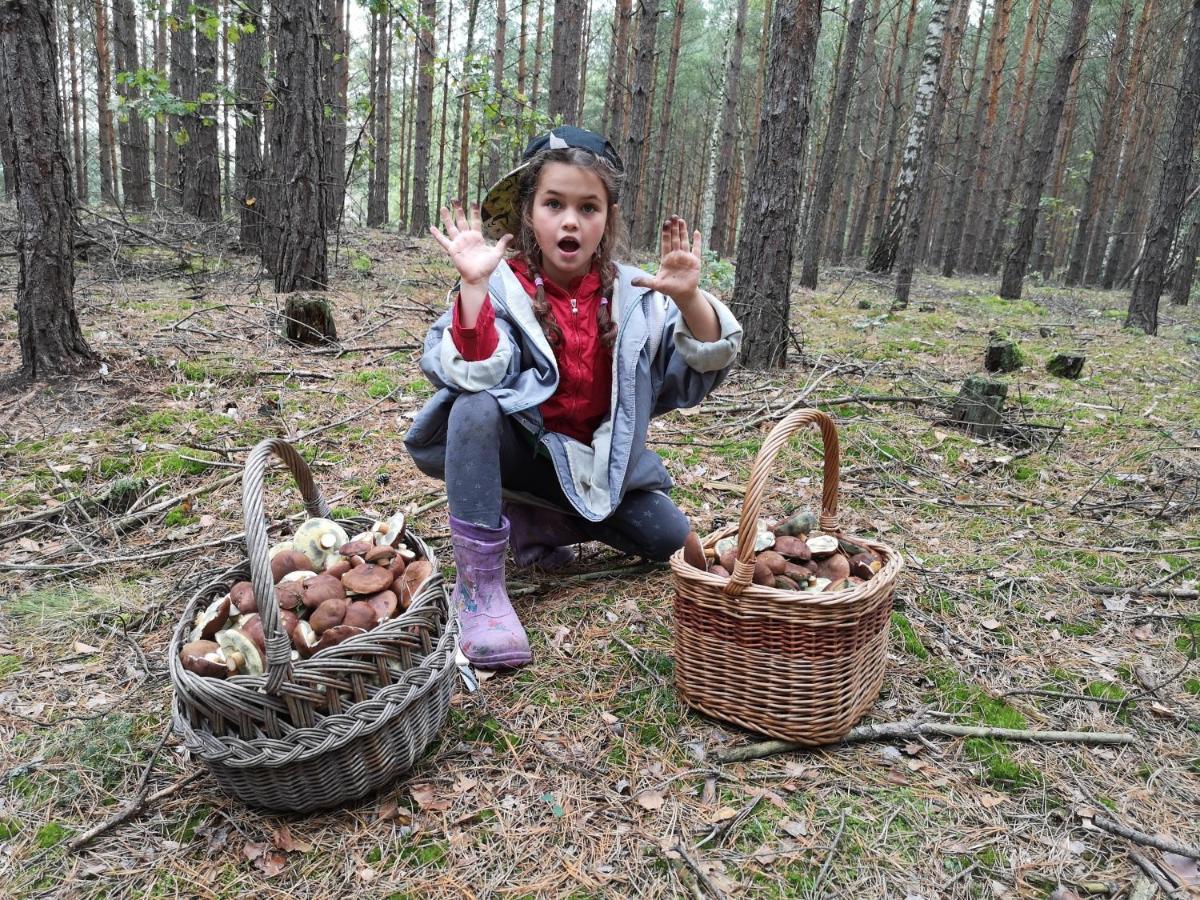 Agroturystyka Plener Miedzichowo Extérieur photo