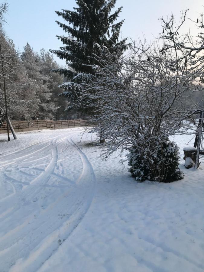 Agroturystyka Plener Miedzichowo Extérieur photo